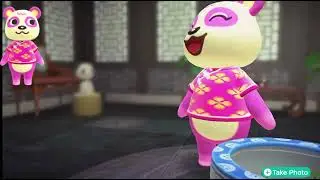 Pinky Lore and Info | ACNH Happy Home Paradise | Paper Moon #animalcrossingnewhorizons
