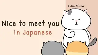 Lesson 2 : Introduce Yourself in Japanese 🐱How to say 