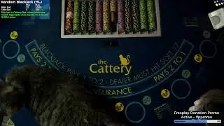 Random Blackjack, 3 Card Poker, and OFCP with Annorax! || Come #WINBIG