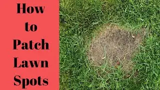 How to patch bare spots in the lawn