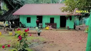 The nature house 🏠