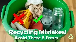 5 Common Recycling Mistakes You Probably Making!