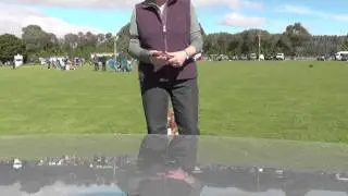 Dog Obedience, Competition heeling, footwork