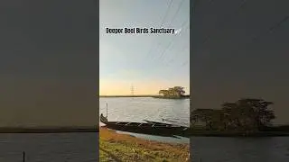 Deepor beel, Guwahati📍#deeporbeel #guwahati #assam #nature #northeastindia #sunset #shorts #youtube