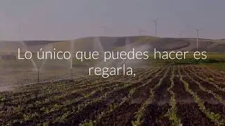 Promo Video WeiFastPay (esp)