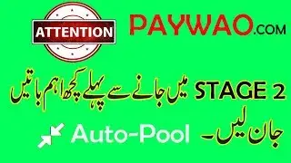 Auto-Pool System Of Paywao.com || What Is Reality Of Paywao Auto-Pool System