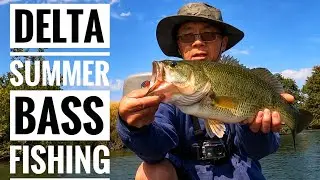 California Delta Summer Largemouth Bass Fishing: WFO Crankbait Fishing