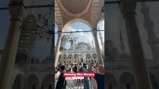 Blue Mosque Sultanahmet Jami #istanbul #turkey #travel #masjid #muslim #islamicvideo
