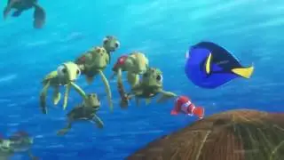 Finding Dory -  Turtles