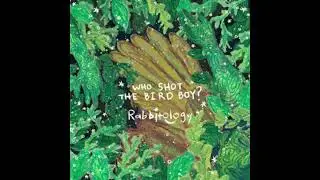 who shot the bird boy -- rabbitology (extended instrumental loop)
