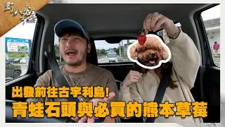 出發前往古宇利島! 青蛙石頭與必買的熊本草莓!【野人八號倉庫】