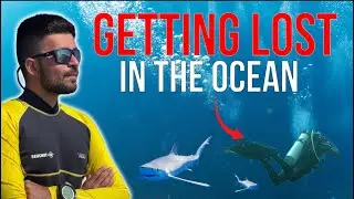 Swept Away by Deadly Currents in Komodo 😱