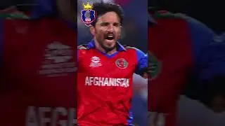DC name their replacement for Mitchell Marsh |