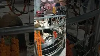 शिवलिंग = Shiveling | Delhi Kalka Mandir