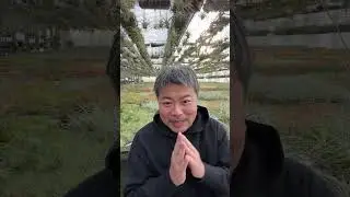 エアプランツ温室から