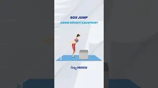 Box Jump Hangi B&ouml;lgeyi &Ccedil;alıştırır?