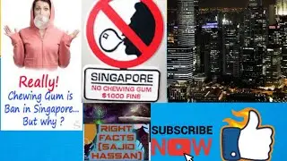 Chewing Gum Banned In Singapore|Why |Amazing right fact|