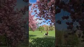 Get a chance to visit that place free of cost #travel #viral #youtube