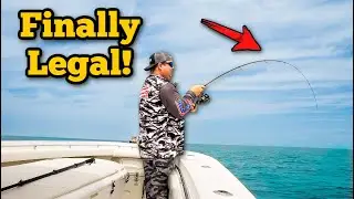 Offshore Fishing in Destin FL