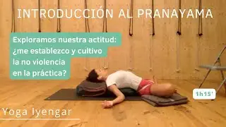 Cultivar Ahimsa: la no violencia en Pranayama. Filosofía vivencial. Yoga Iyengar nivel intermedio