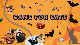 This Cat Game Made 10 Million Viewers Go Crazy 😺🎮🤯