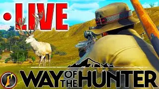 Matariki Park Story Missions! +| Hunting 