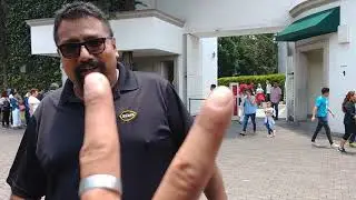 El final de la subasta en los pinos domingo 28 Jul