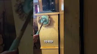 Het huis van een fervent roker schoonmaken! 😮😳 - 🎥 abbigaillburke