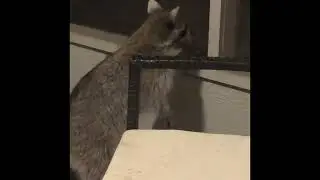 Caught on Camera: 
