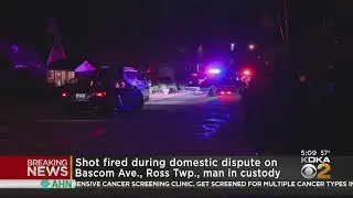 Shot fired during domestic dispute in Ross Township