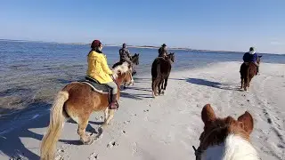Horseback Riding At Cedar Island - NC