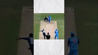 Top 4 Facts in Cricket