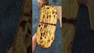 Everything about making panettone is truly magical. Join my classes to learn more about panettone🤩