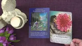 A Little Angel Message ✨ Your Daily Angel Message ✨ What the Angels want you to know 💖 #angelmessage