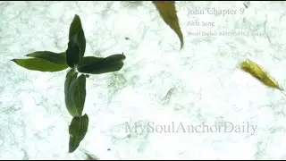 John Chapter 9 &mdash; Bible Song