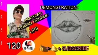 DEMO : ANATOMY : HUMAN Figures : PART 18 : LIPS :  STRUCTURE # SHAPE # DRAWING # RENDERING #  