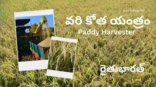 వరి కోత యంత్రం l  ధాన్యం తీసే యంత్రం l Paddy Harvesting machine l @RythuBharat l రైతుభారత్