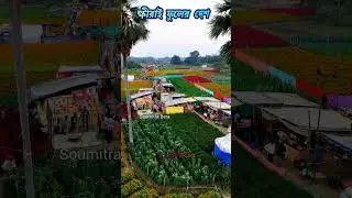 Welcome To Khirai Flower Valley ll ফুলের মেলাতে কে কে আসছো ll #flowers