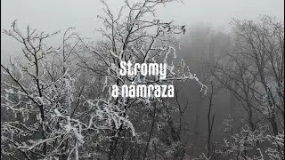 Stromy a n&aacute;mraza