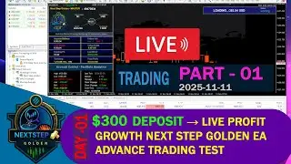 $300 Deposit &rarr; Live Profit Growth 📈 | Next Step Golden EA #01Advance Trading Test