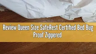 Review Queen Size SafeRest Certified Bed Bug Proof Zippered Box Spring Encasement - Bed Bug Fluid an