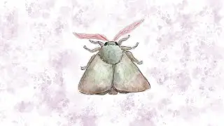 music for bugs - moth