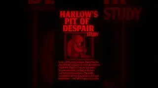 Harlow&rsquo;s Pit of Despair &ndash; The Cruel Monkey Isolation Study | Disturbing Psychology Study #140