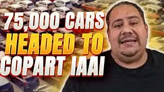 MAKE MONEY TODAY!!! copart IAAi salvage auction flip cars for profit Use another Dealers license