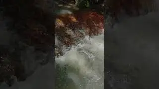 Strong River Sounds for Deep Sleep #relaxingriversounds#riversounds#deepsleep#whitenoise