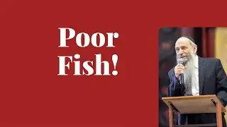 Why did the innocent fish die during the Plague of Blood?| Ask the Rabbi Live with Rabbi Chaim Mintz