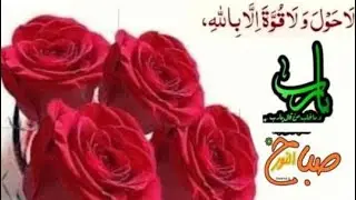 Islam learning 360 Assalamo alaikum everyone and good morning