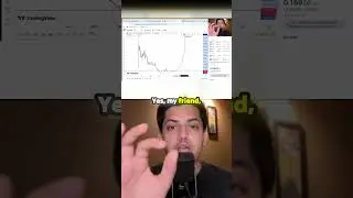 Get Ready for the PNUT Surge to $1.10!