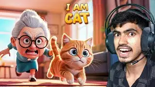 I BECAME A GRANNY CAT