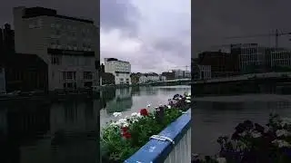 #river #peace #city #flowers